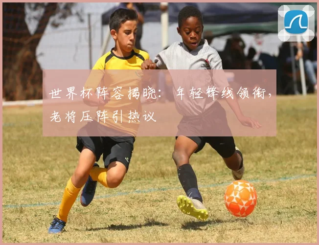 世界杯阵容揭晓：年轻锋线领衔，老将压阵引热议