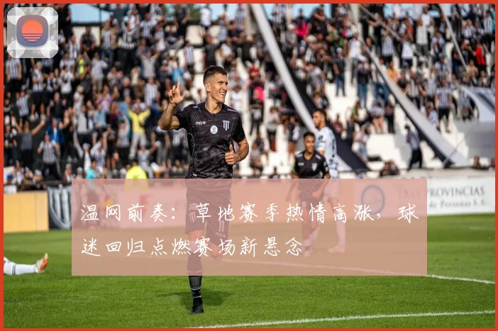 温网前奏：草地赛季热情高涨，球迷回归点燃赛场新悬念