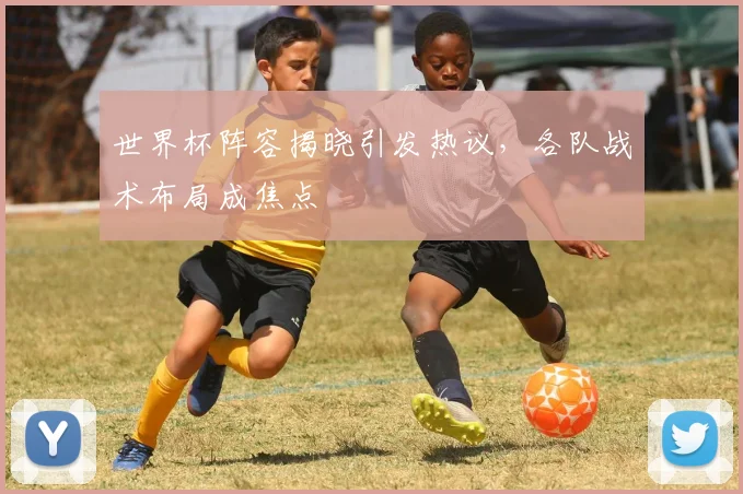 世界杯阵容揭晓引发热议，各队战术布局成焦点